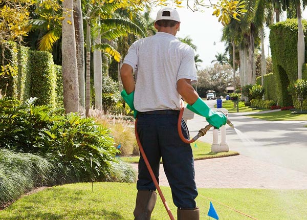 About Fishkill NY Pest Control